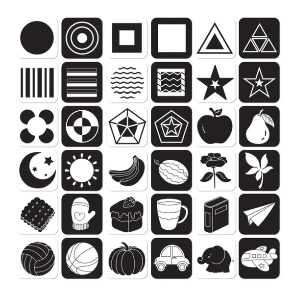 42675869417669|42675869450437|42675869483205